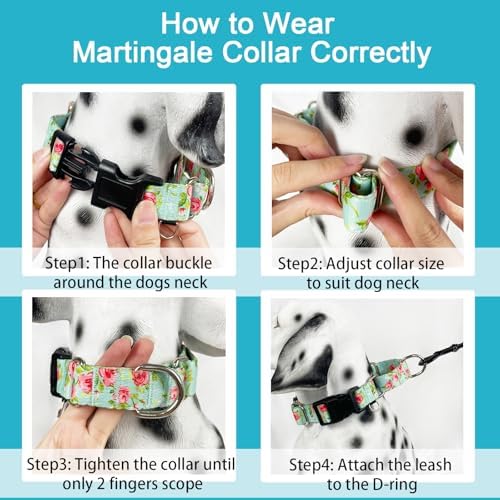 Martingale Collar for Dogs with Buckle No Pull, Green Floral, XL