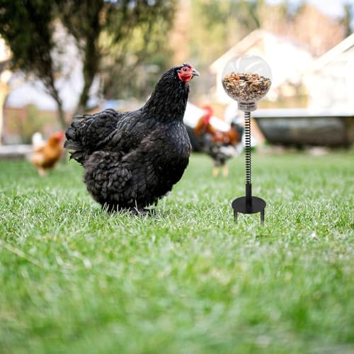 Oooct 2 Pack Chicken Peck Toy - Chicken Enrichment Toys with Swing Feeder & Slow Feeder for Hens, Ducks, Parrots