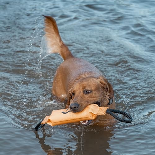 Browning Canvas Bumper Toy Browning Gold