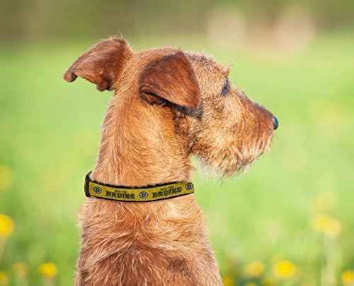 NHL Boston Bruins Collar for Dogs & Cats, Large. - Adjustable, Cute & Stylish! The Ultimate Hockey Fan Collar!