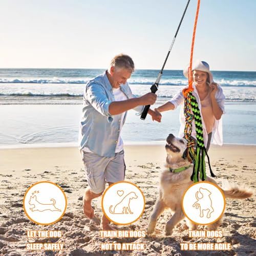 Flirt Pole for Dogs