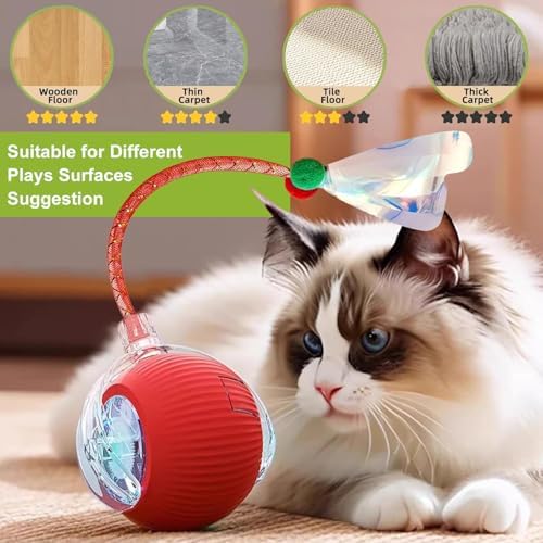 2 Pack Interactive Cat Toy Balls for Indoor with Elastic Mesh Tail