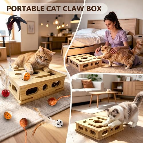 2026 New Model Cat Nail File Enrichment Box, Square