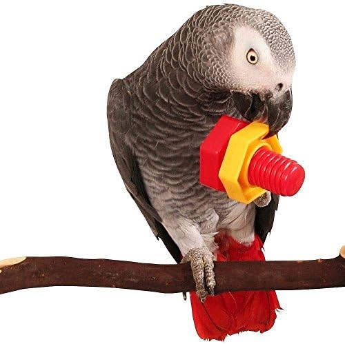 Hypeety 4pcs Bird Intellective Toys Screw Training Toy for Parrot Parakeet Macaw African Greys Budgies Cage Toy (A)