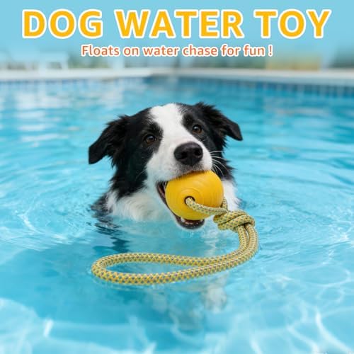 SCENEREAL Floating Dog Pool Toys - Ball on Rope Fetch and Tug-of-War Toy for Medium Large Dogs Outdoor Training, EVA Rubber Water Pet Interactive Toys for Summer Beach, Yellow