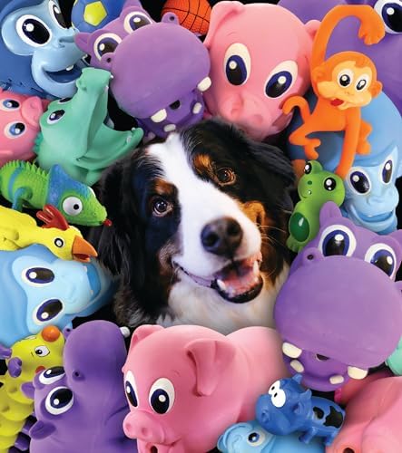 PetSport Naturflex Large Alligator Toy - Durable & Long-Lasting, Non-Toxic Material, Internal Squeaker, Rubber Toy for Dogs, Ideal for Interactive Play and Engagement