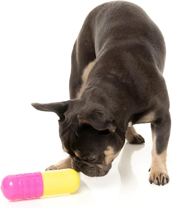 Fuzzyard Chill Pill Rubber Dog Toy Premium Interactive Chew Treat Dispenser with Squeaker