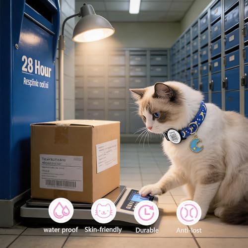 3-Pack Smart ID Cat Collar with Name Tag, Breakaway Adjustable Kitten Collars - QR Code Profile & Star Moon Safety Collars, Multi-Color Set (Black/Blue/Pink) | TagHelp