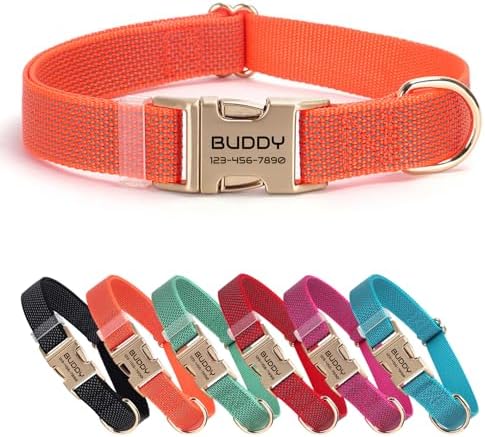 Personalized Reflective Nylon Dog Collar with Name, Orange