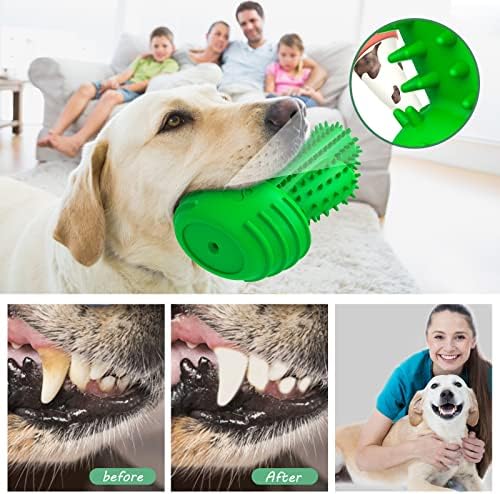 Pamlulu Dog Chew Toys Dog Toothbrush Stick Teeth Cleaning Brush Dental for Medium Large Dog, Puppy Christmas,Easter Birthday Gifts,Outdoor Squeaky Toys for Aggressive Chewers Tough Toys Interactive
