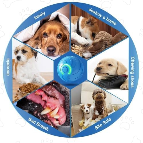 Bubs Bounce Ball (Orange) Smart Jumping Ball Toy for Dogs, Duraspin Dog Bouncing Ball, Interactive Bouncing Toys for Puppy Toys