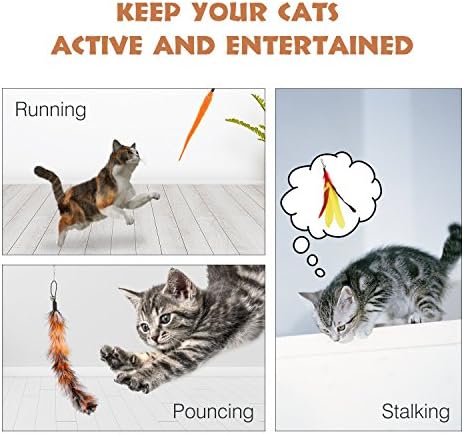 Pawaboo Interactive Cat Toys for Indoor Cats, Cat Wand Toys