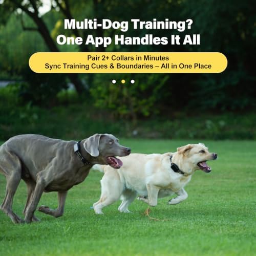 GPS Wireless Dog Collar Fence System - No Monthly Fee App Control, Custom Polygon Boundary & Remote Training, Free Phone Tracker for Up to 5 Pets, Virtual Electric Fence for Dogs