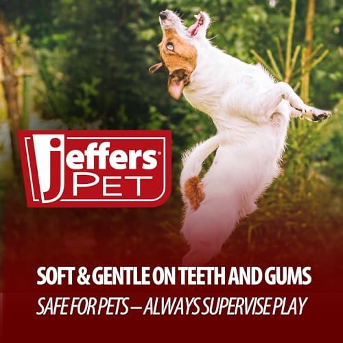 Jeffers Pet Animal Themed Plush Squeaker Dog Toy, 12" - White Snowman