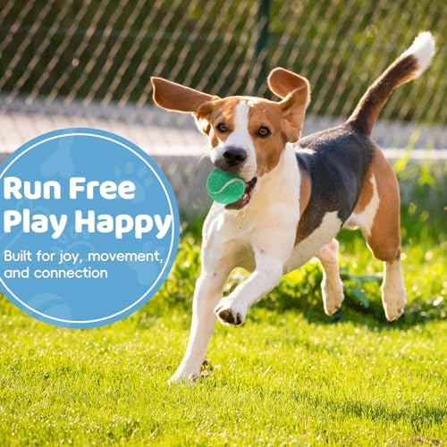 40 Pack 2 Inch Dog Tennis Balls, Small Tennis Balls for Dogs, Dog Safe Non-Abrasive Felt, Bulk Puppy Tennis Ball Set for Small Dogs,with Mesh Bag for Easy Transport(Multicolor