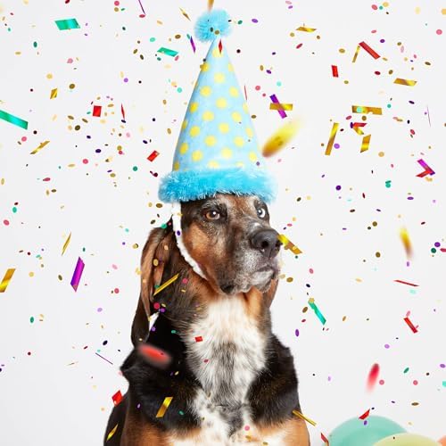 BarkBox The Party Farter Dog Toy - Fun for Dogs