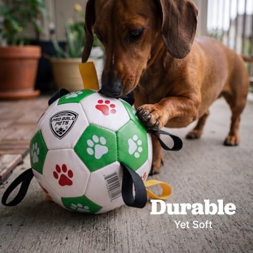 Maccabi Interactive Dog Soccer Ball for Dogs, 6” with Straps & Grab Tabs, Floats on Water, Fetch & Training Toy for Small/Medium Dogs, Herding Breeds, Waterproof Non-Toxic – ProBall Pets – Green Red