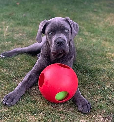 Jolly Pets Teaser Ball Interactive Dog Toy, 8 in Large, Red