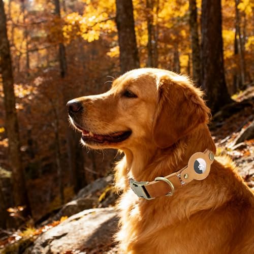 Airtag Dog Collar,Reflective Collar w Airtag Holder for Large Dogs(Caramel)