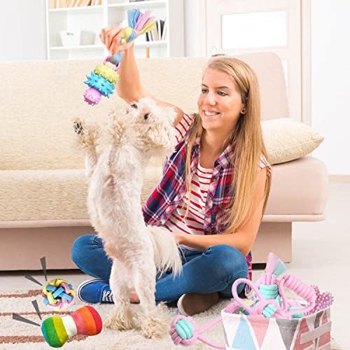 Puppy Teething Chew Toys for Small Dogs - Interactive Rope Toy, Balls, Ring, and Storage Basket (C)