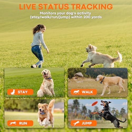 Wireless Dog Fence with Remote Training Collar, 1100 Yard Range, Waterproof E-Collar, 3 Training Modes, Compass & Flashlight for Medium Large Dogs