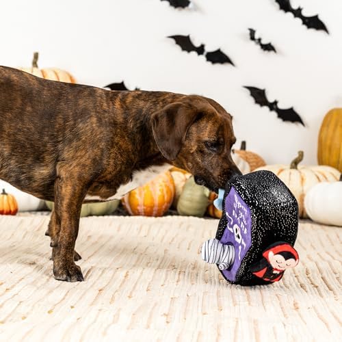 Fringe Studio Hide and Seek Burrow Plush Dog Toy, Sleep Tight, PetShop Collection (289232)