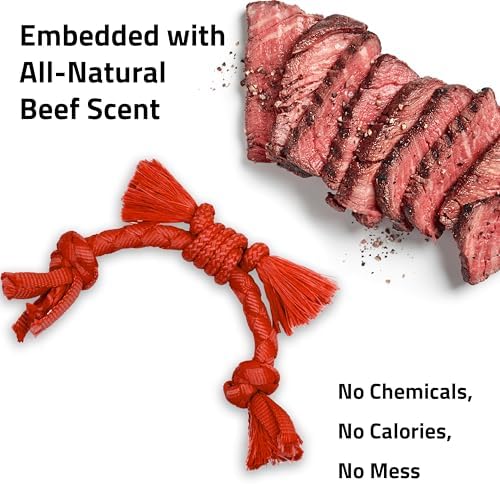 Playology Dog Toys | Sensory Rope for Puppies and Young Dogs | Beef Scented Small Tug of War Dog Toy | Teething Puppy Essentials Rope Toys