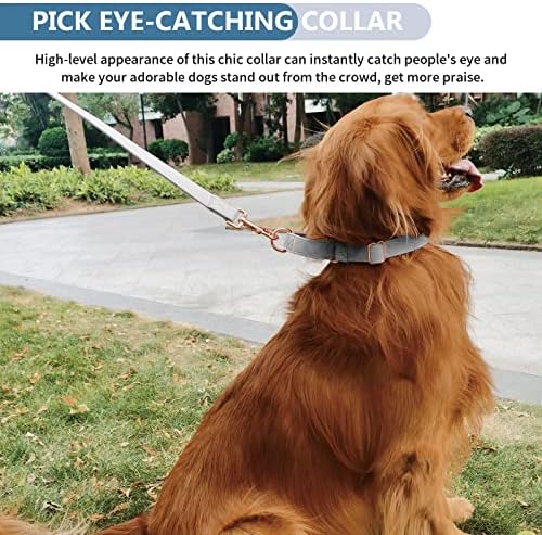 Soft Leather Martingale Dog Collar - Adjustable Rose Gold Limited Slip Collars [Easy to Clean], Stylish Durable Heavy Duty Nylon No Pull Training Collar for Small Medium Large Dogs XS Grey
