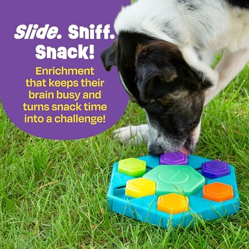 Brightkins Spin & Seek Hexagon Treat Puzzle