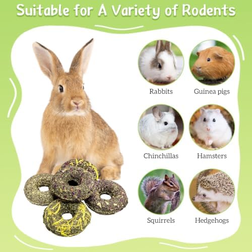Fhiny 10 PCS Rabbit Chew Toys, Rabbit Treats with Natural Grass and Flowers, Pet Molar Grass Cakes for Guinea Pigs, Chinchillas, Hamsters and Other Small Rodents