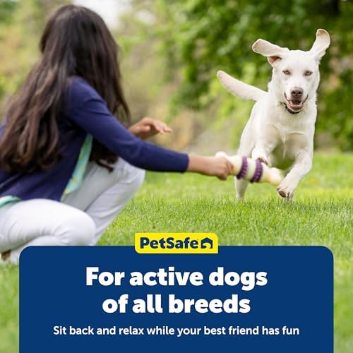 PetSafe Busy Buddy Treat Ring Variety Pack - Engaging Treat-Holding Toy Refill - Easy-Open Resealable Bags - Medium - Peanut Butter & Original Rawhide Flavors (Pack of 120)