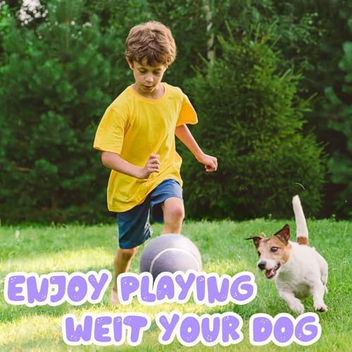 Banfeng Giant Dog Tennis Ball, 9.5" Big Sport Toy Gift for Large Breeds