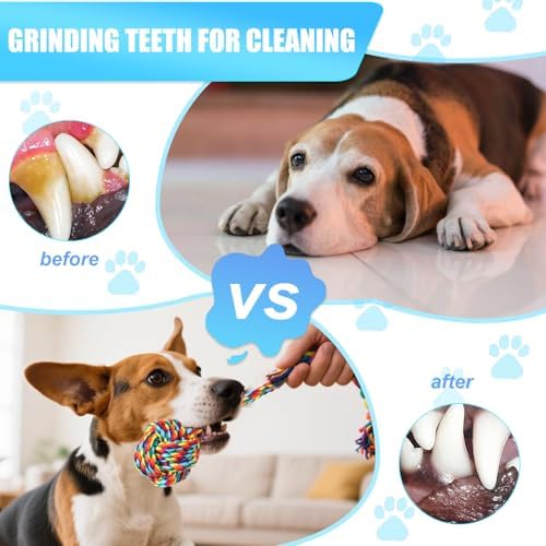 Celery Tough Dog Toys for Aggressive chewers - 4 Pack Durable Cotton Rope chew Toys for Large Dogs and Medium, Interactive tug of War, Teeth Cleaning, Puppy Training and Fetch Play (4 Pack)