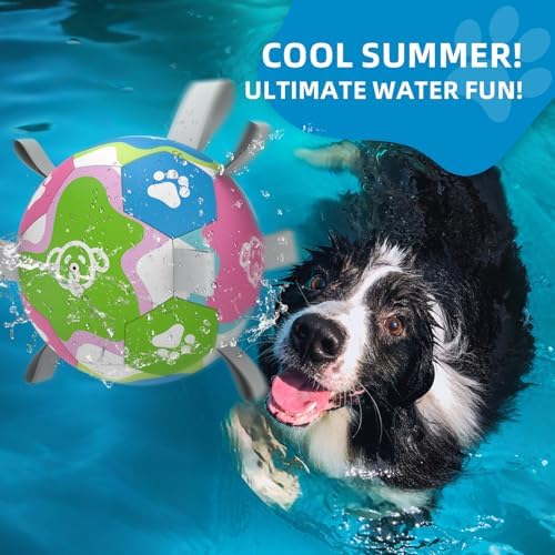 QDAN 6 Inch Dog Toy, Durable Dog Soccer Balls with Straps to Keep Them Busy