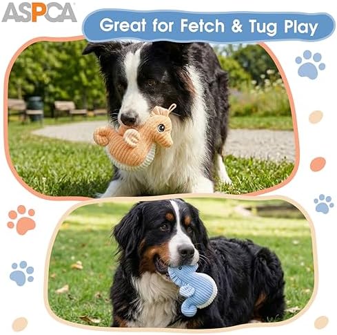 ASPCA 2 Pack Plush Dog Toy with Squeaker for Small & Medium Dogs, Soft Durable Stuffed Pet Toy for Fetch, Tug & Cuddle, Interactive, Lightweight, Engaging Play Toy for Dogs