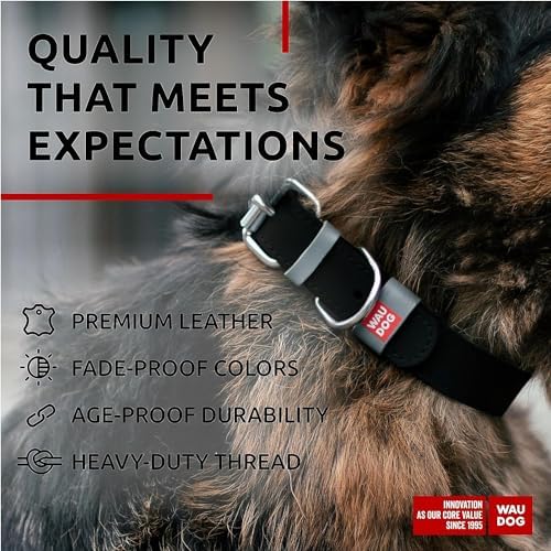 WAUDOG Long Lasting Leather Dog Collar for Large Dogs, Medium & Small Dogs - Adjustable Classic Puppy Collars for Large Breed Dogs - Boy & Girl Dog Collars with Durable Buckle, D-Ring & QR Dog Tag
