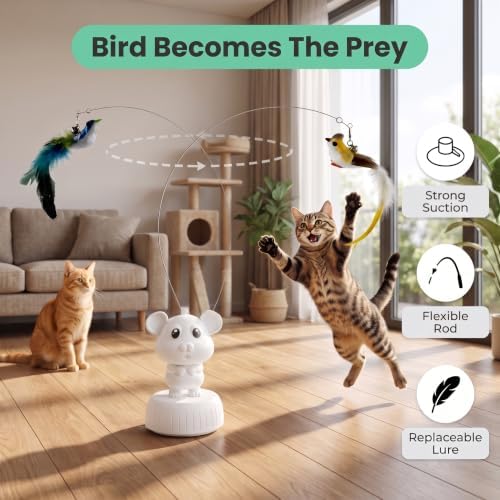 Interactive Cat Toys for Indoor Cats – USB Rechargeable Electric Flying Bird Feather Teaser, Durable & Safe Automatic Cat Toy for Exercise, Hunting Instinct, and Boredom Relief