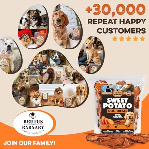 BRUTUS & BARNABY Dried Sweet Potato Dog Treats, Full Slices, 2 lb, 2 Pack | Single ingredient chews, healthy, hypoallergenic; gentle on sensitive stomachs. Made in USA, thick cut for large breeds