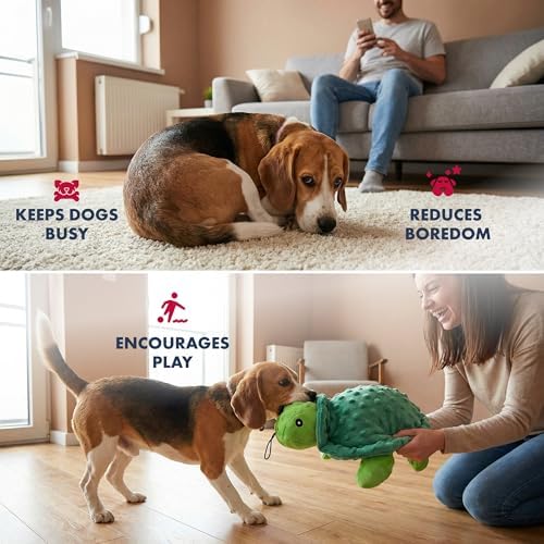 petlou Sqeaky Plush Durable Dog Toys with Multi-Colour,Dotty Friends for Dog (12 Inch Dotty Friends Turtle)