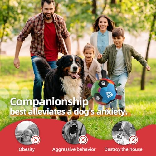 QDAN Large Dog Toys, Big Dog Balls for Aggressive Chewers, Birthday Gifts