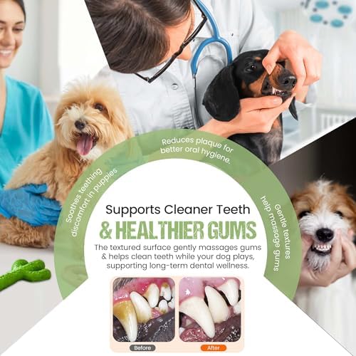 3-Piece Dog Chew Toy Set - Durable Rubber Cactus, Dental Ring, and Treat Leakage Ball - Tough Interactive Molar Toys for Puppy & Medium Dogs - Multi-Color