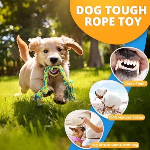 LOYEE 8 Pack Puppy Toys for Small Dogs, Luxury Dog Chew Toys with Squeaky Plush Toys, Rope Toys and Ball, Teething Toys for Puppy Supplies