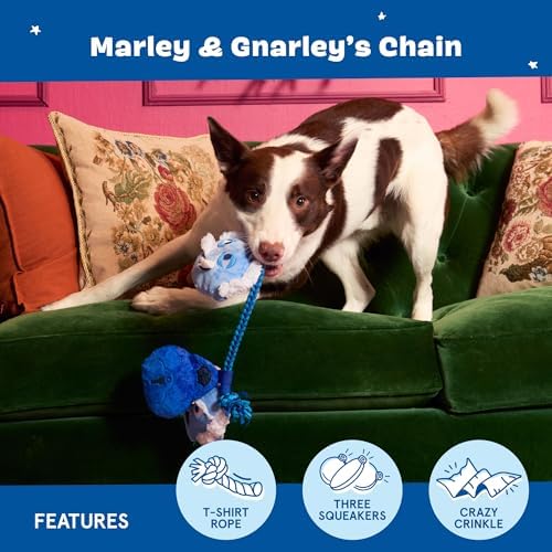 BarkBox Marley & Gnarley's Chain Dog Toy - Toy for Medium to Large Dogs