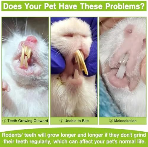Fhiny Peapods Hamster Chew Toys, 24 PCS Natural Timothy Grass Carrot Guinea Pig Chew Toys for Teeth Handmade Small Animal Molar Snacks Dental Care for Bunny Chinchilla Hamster Gerbil Boredom Breaker