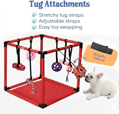 Race&Herd 19.5" Puppy Play Gym — Small Dog Jungle Activity Mat (Cherry)