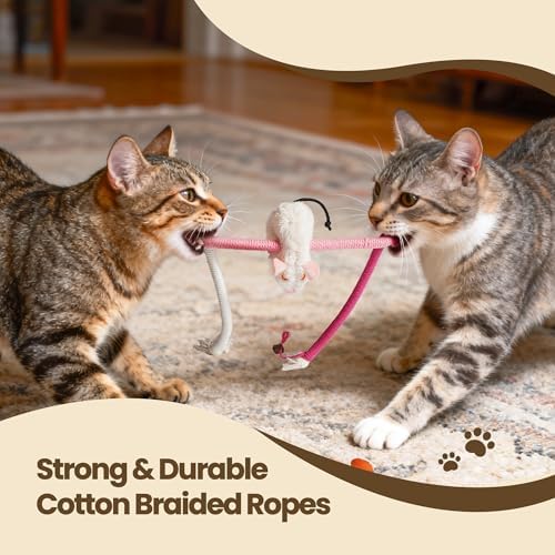 Cat Chew Ropes with Catnip Mouse, 3Pcs Cat Chew Toys for Large Cats Enrichment, 3-in-1 Catnip Toys Mouse & Strong Braided Ropes & Gall Fruits, Cats Teething Toys