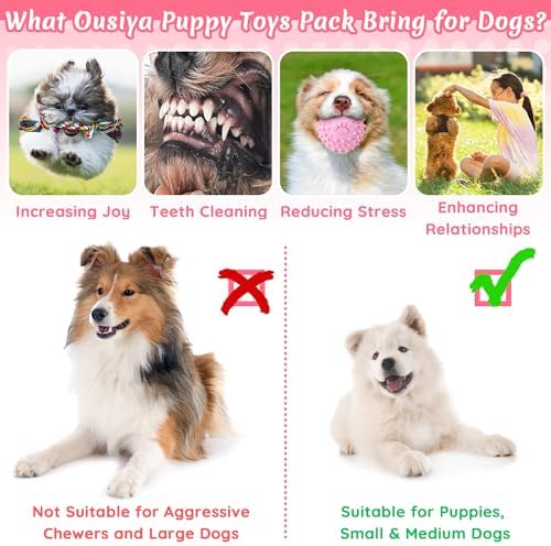 12 Pack Puppy Toys for Teething, Small & Medium Dogs – Chew Toys, Rope Toys & Interactive Dog Toys Set with Storage Box for Training, Play & Boredom Relief