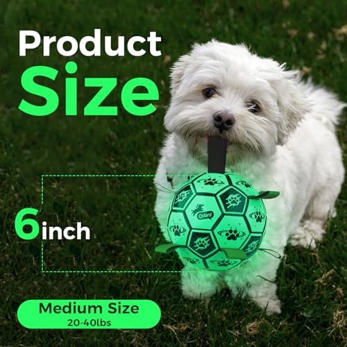 QDAN Glow in the Dark Dog Ball, Light Up Dog Toys, Luminous Glow Soccer Ball for Dogs, Outdoor Dog Toys, Doggy Water Toy, Puppy Birthday Gifts for Small Medium (6 Inch)