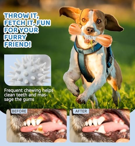 Durable Dog Chew Toy, Natural Rubber Treat Dispensing Puzzle Toy for Small & Medium Breeds – Interactive Teething, Training, and Dental Care Toy to Keep Dogs Engaged & Relieve Boredom (Orange)