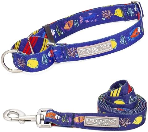 Lucky Love Dog Martingale Collar & Leash Set No Slip Cute – Mackey, Large
